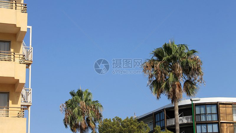 出境游自由行与跟团游费用对比：性价比背后的真相